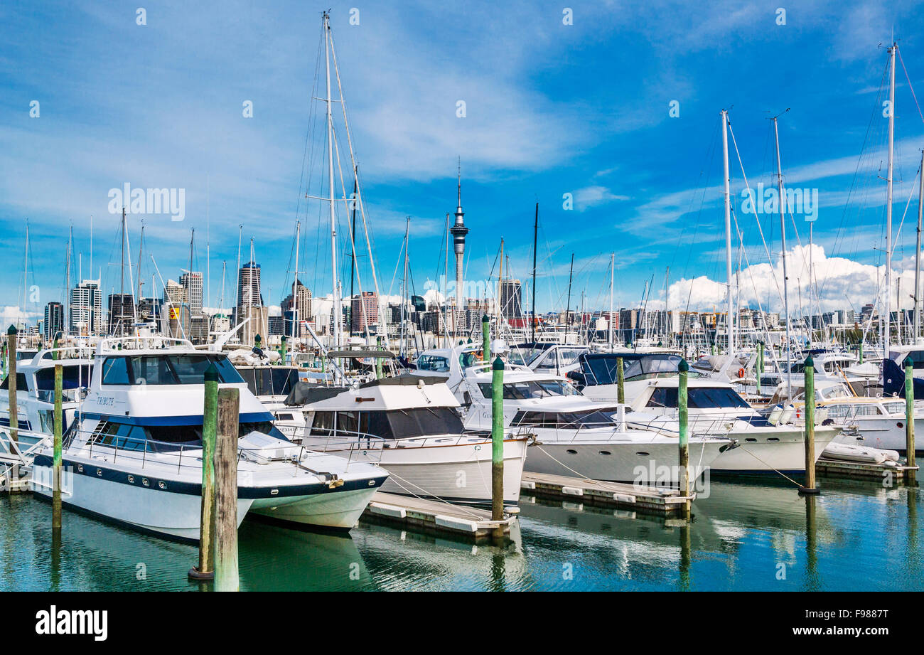 New Zealand, North Island, Auckland, yachts at Westhaven Marina Stock Photo