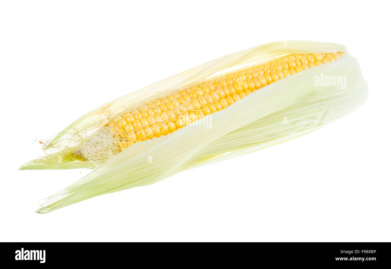 Fresh Raw Corn Cob Isolated On The White Stock Photo - Alamy