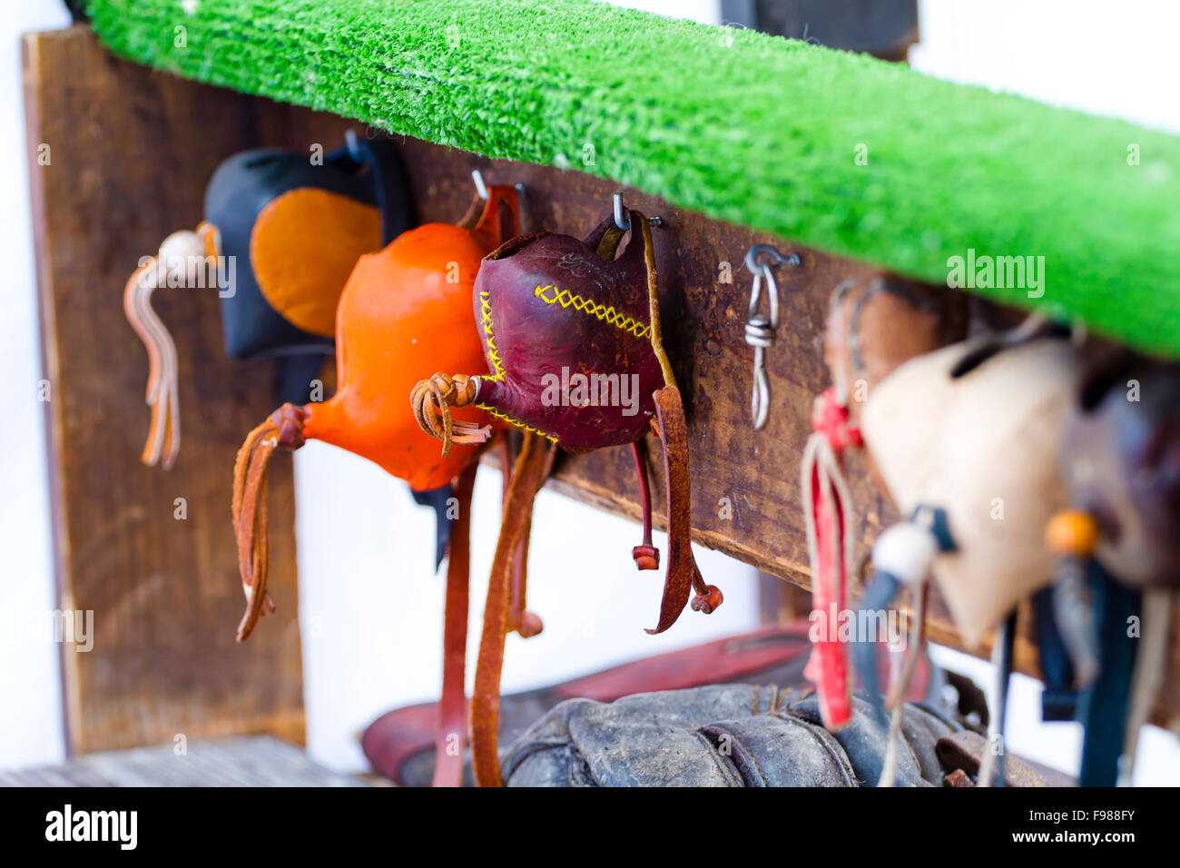 hooded falcon Stock Photo
