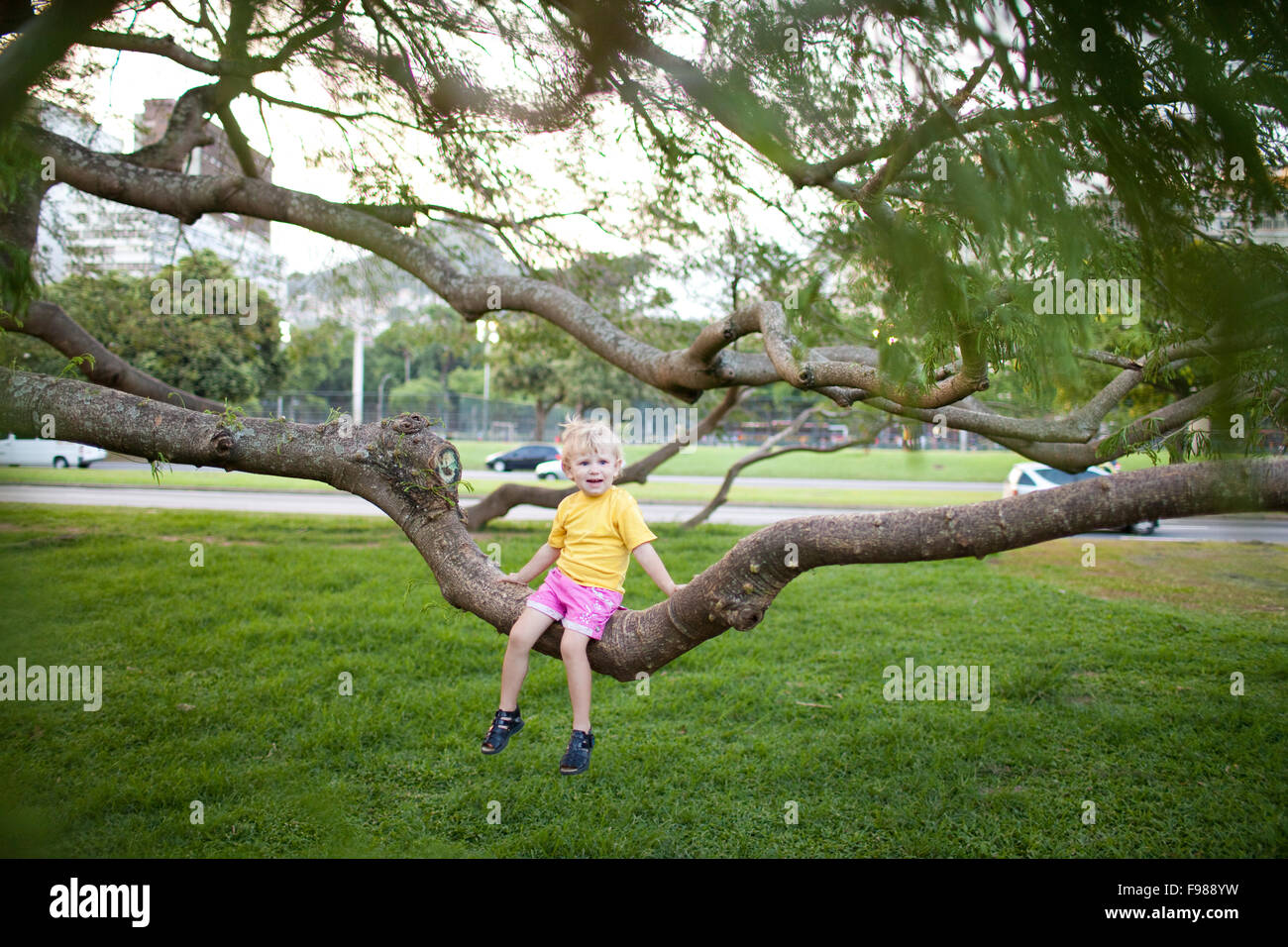 child on the tree Stock Photo - Alamy