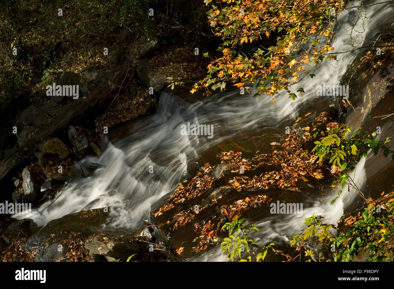 Rushing water flowing down a mountain steam in the fall. Stock Photo