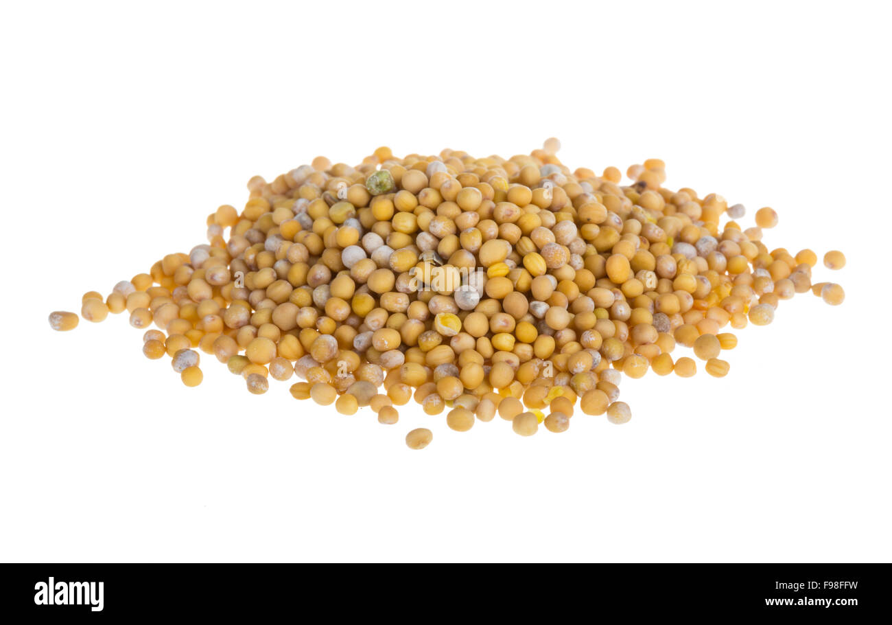 yellow mustard seeds Stock Photo Alamy