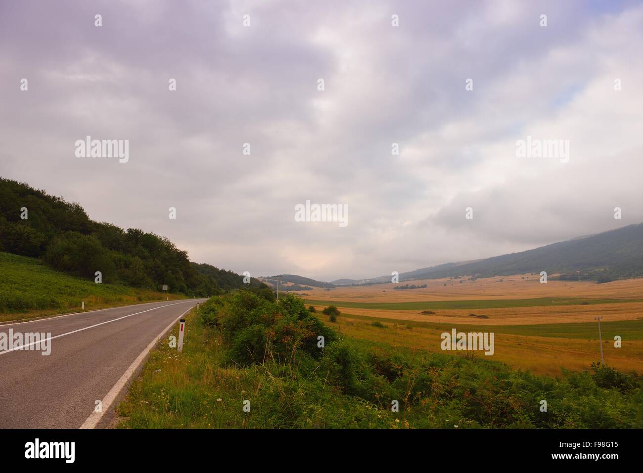 asphalt road through the green field and clouds on blue sky in summer ...