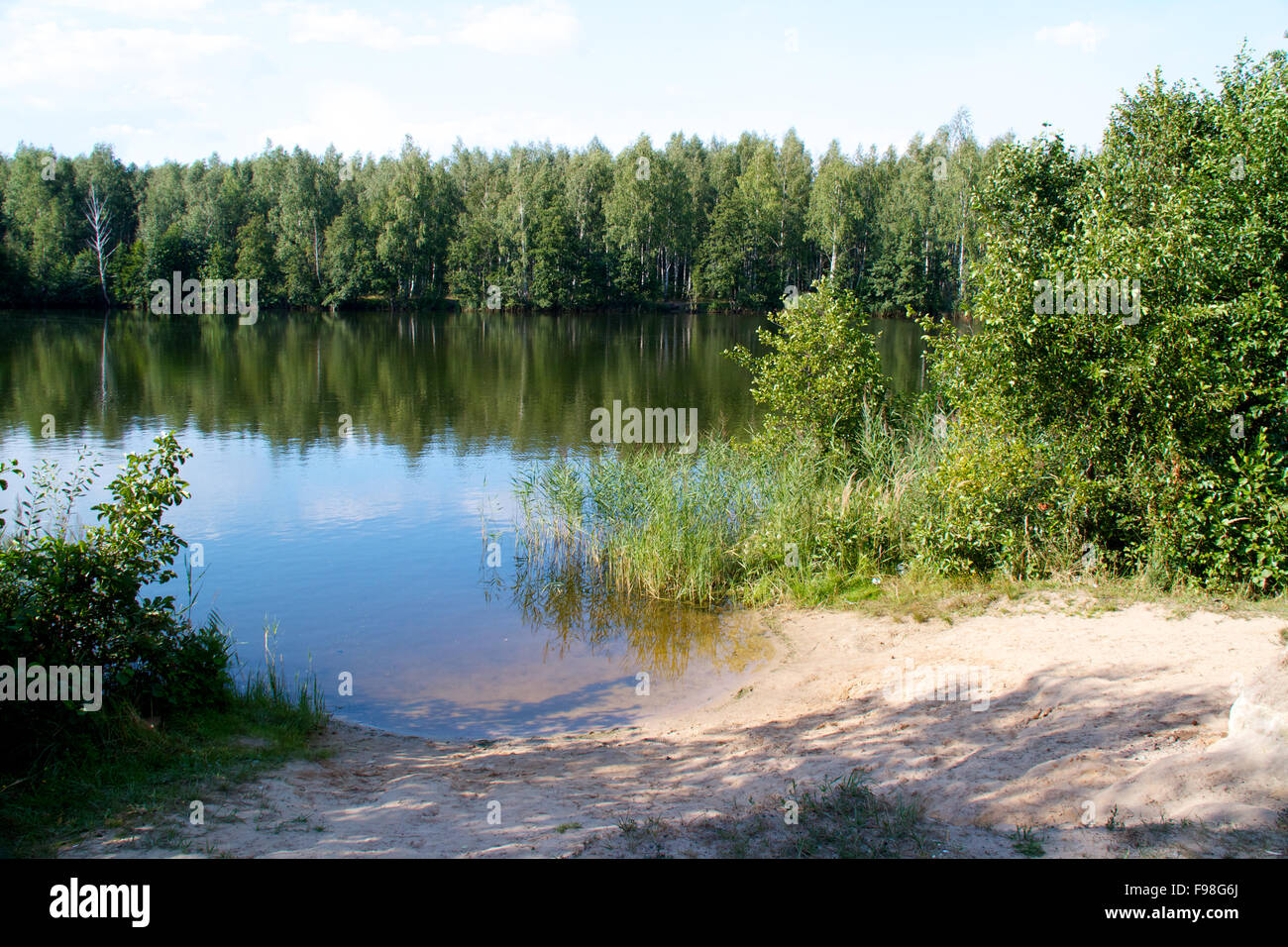 view of the beautiful river and forest Stock Photo - Alamy