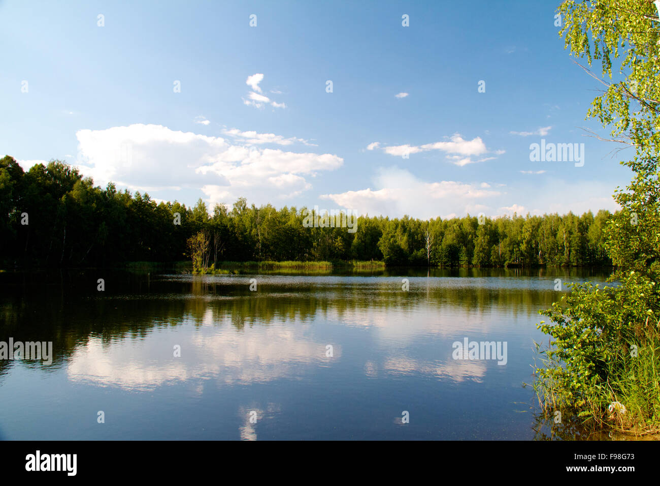 view of the beautiful river and forest Stock Photo - Alamy
