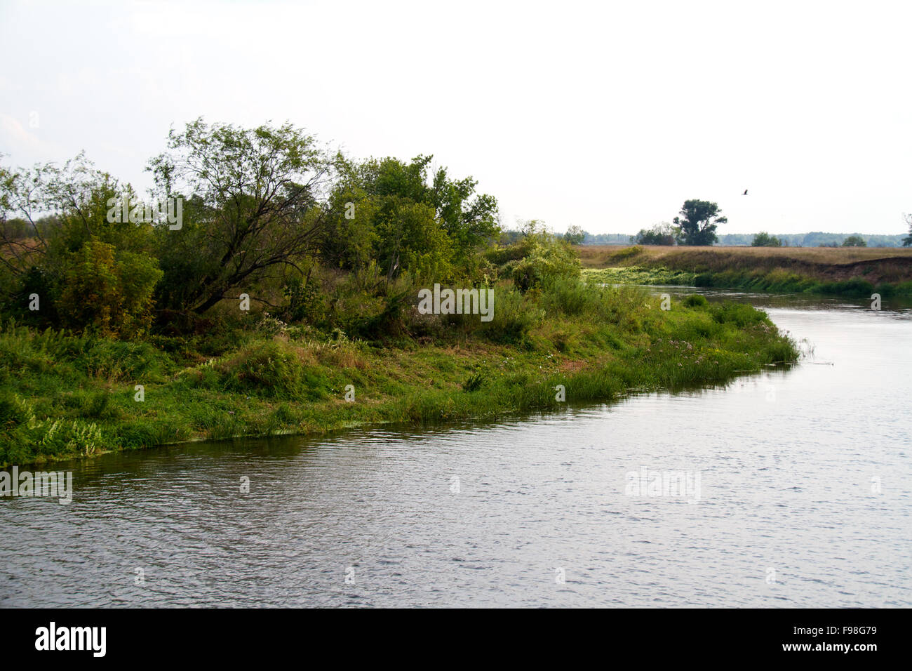 view of the beautiful river and forest Stock Photo - Alamy