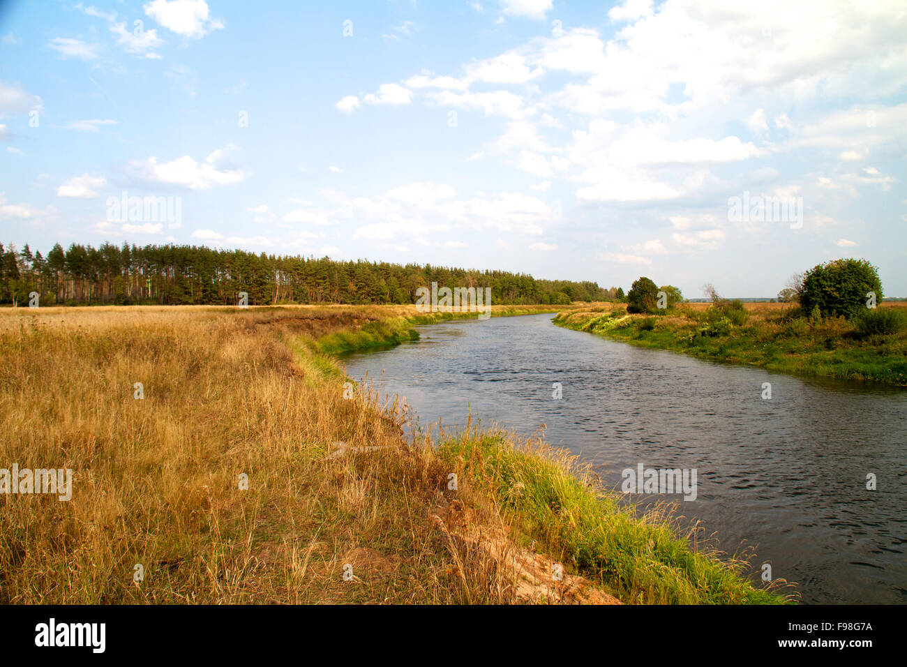 view of the beautiful river and forest Stock Photo - Alamy