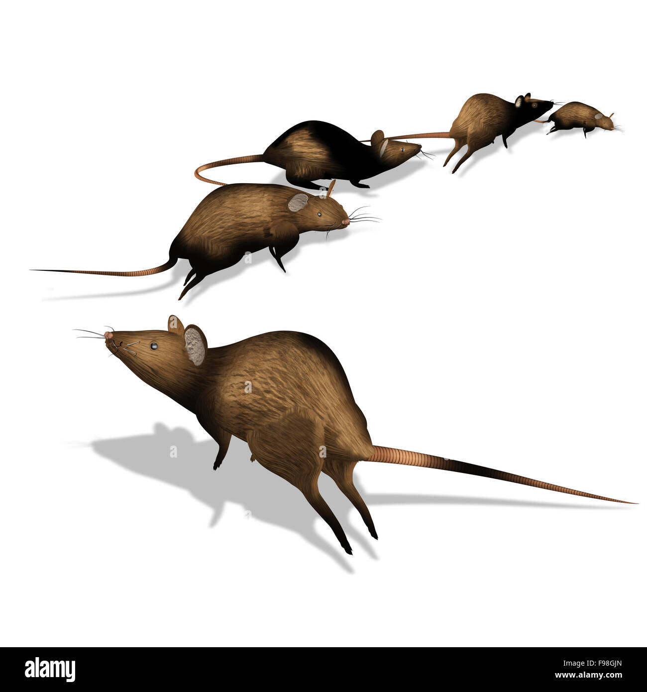 Create an image of rats fleeing from a menacing and carnivorous