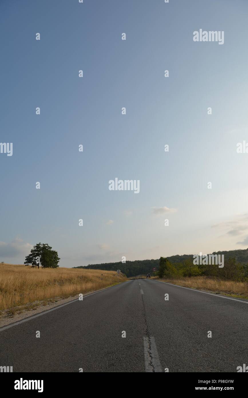 asphalt road through the green field and clouds on blue sky in summer ...
