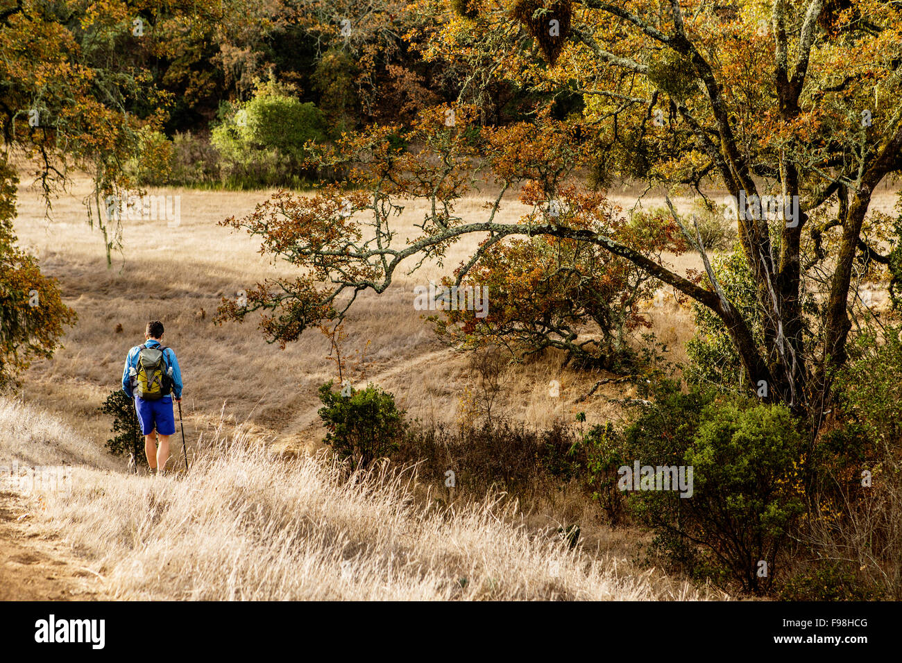 Rear view of a female hiker Stock Photo - Alamy