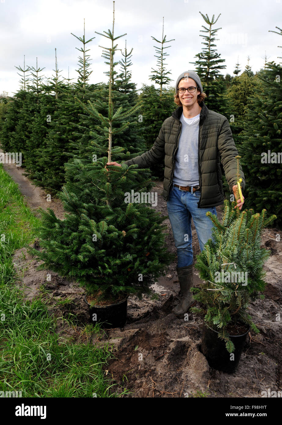 Rastede, Germany. 04th Dec, 2015. Kersten Scholz of the Scholz tree nursery poses next to a potted Christmas tree in Rastede, Germany, 04 December 2015. The tree nursery rents out the potted trees. After the holiday season the trees are collected and replanted to make the Christmas tree business more sustainable. Photo: Ingo Wagner/dpa/Alamy Live News Stock Photo