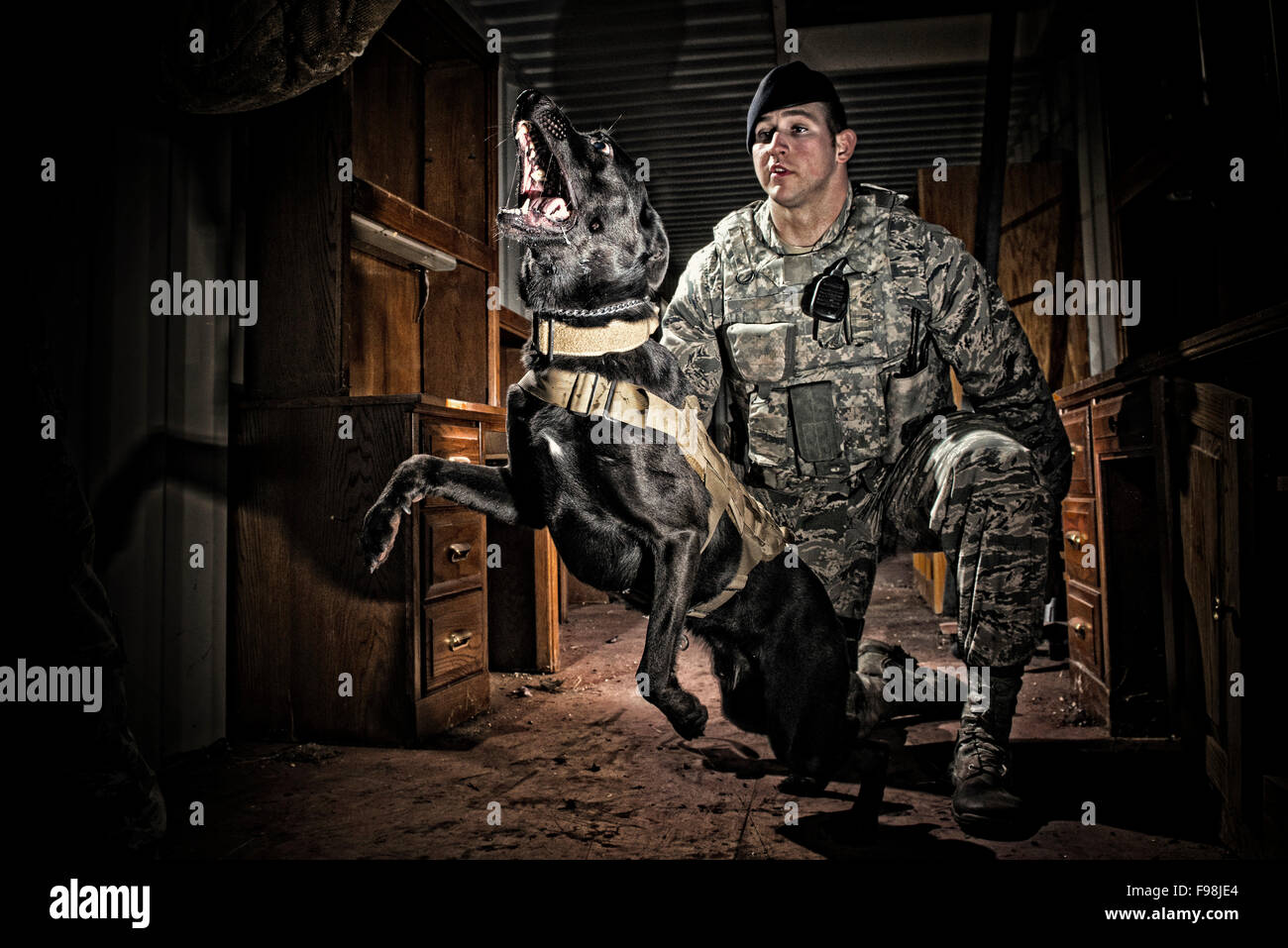 Air force k-9 discount