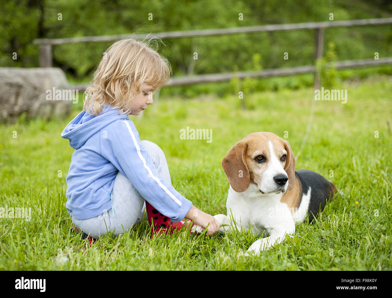 Little girl dog in garden hi-res stock photography and images - Alamy