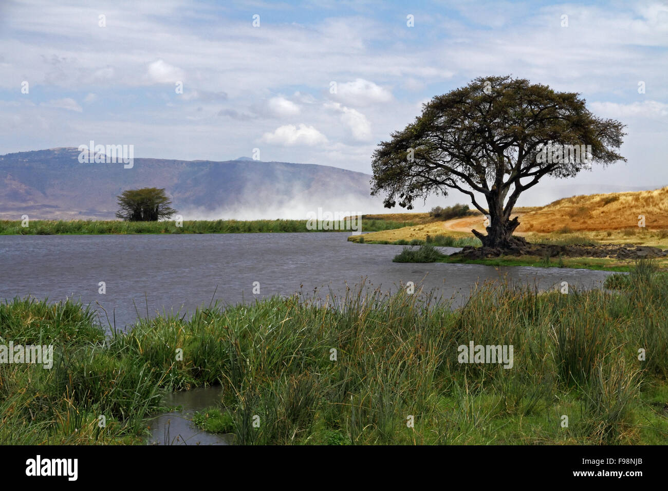 A watering hole in the Ngorongoro crater of Tanzania, Africa. Stock Photo