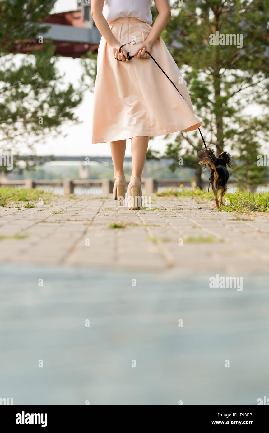 Unrecognizable lady walking with her dog on lead in summer park. View from behind Stock Photo