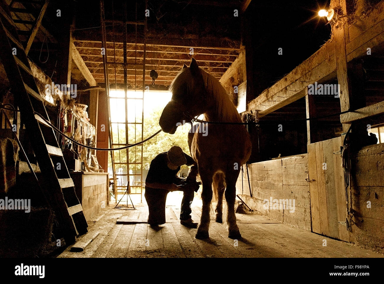 Shoes of horses hires stock photography and images Alamy