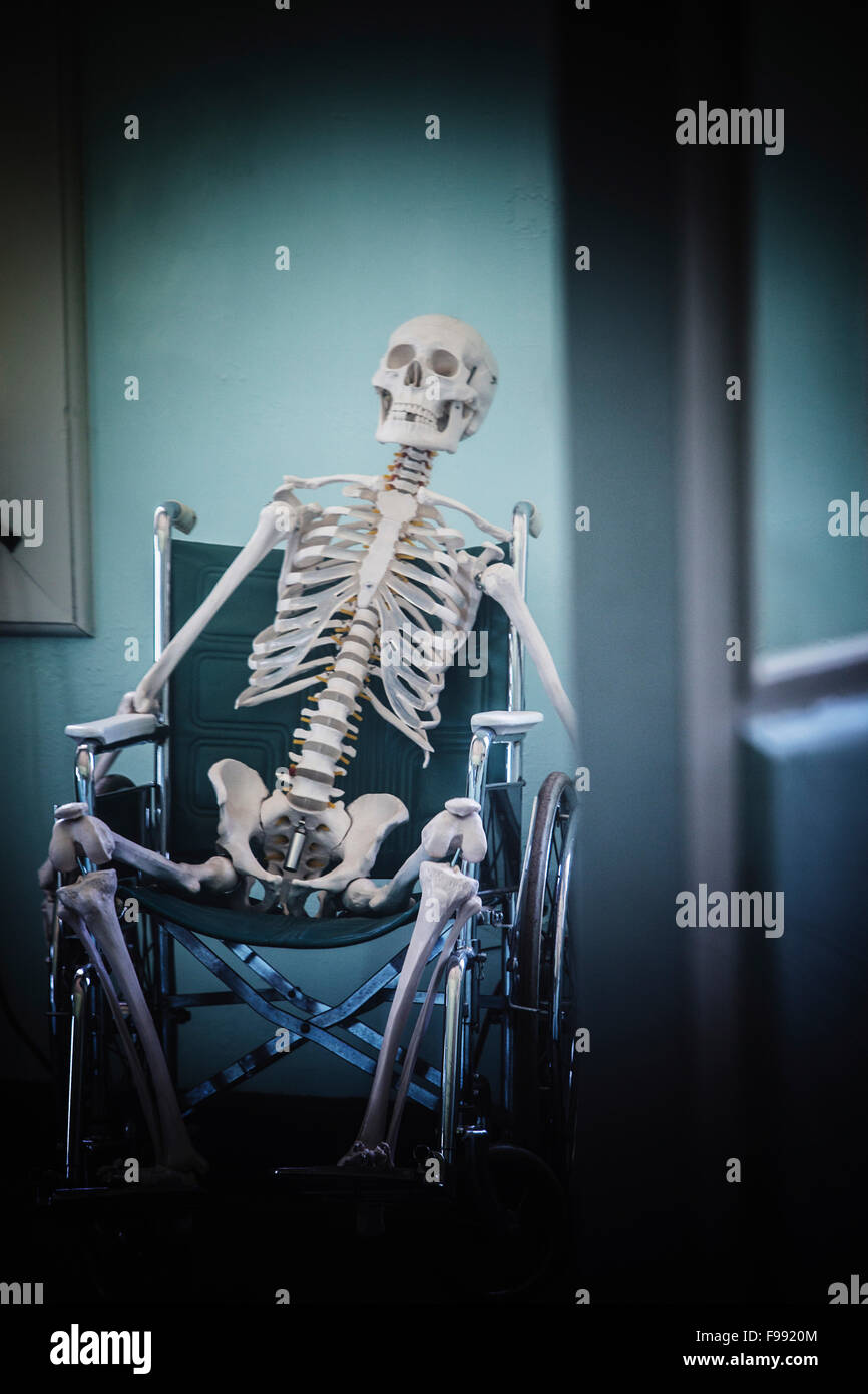 A artificial human skeleton sitting in a wheelchair. Stock Photo
