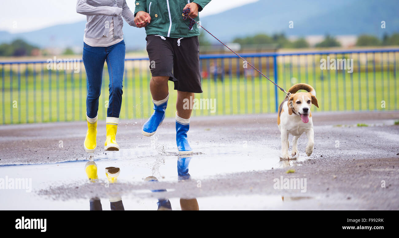 couple-walk-dog-in-rain-details-of-wellies-splashing-in-puddles-stock