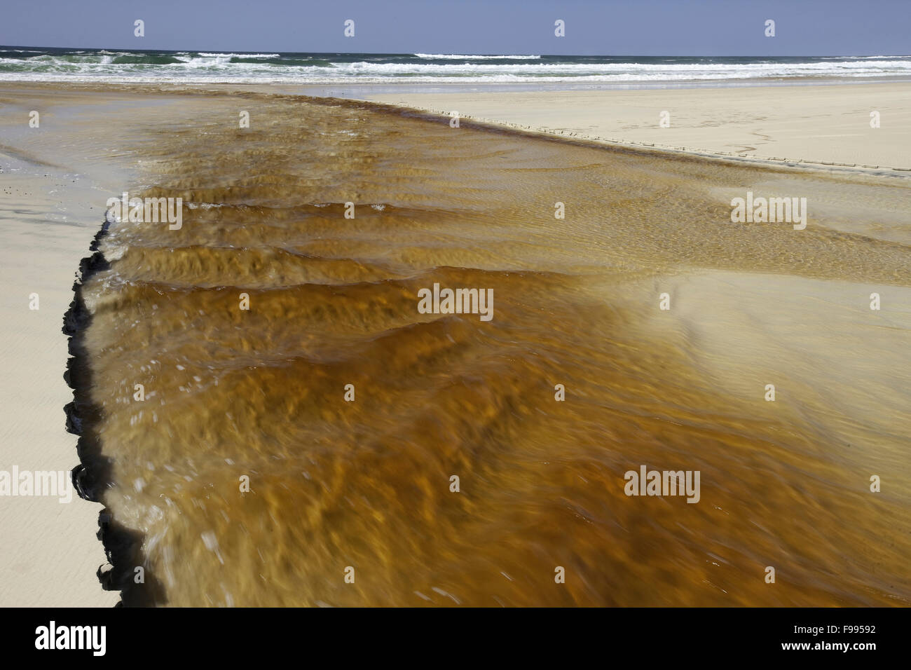 Tannin water from a creek flowing into the ocean in the southern part of the island,  Fraser Island, Australia. Stock Photo