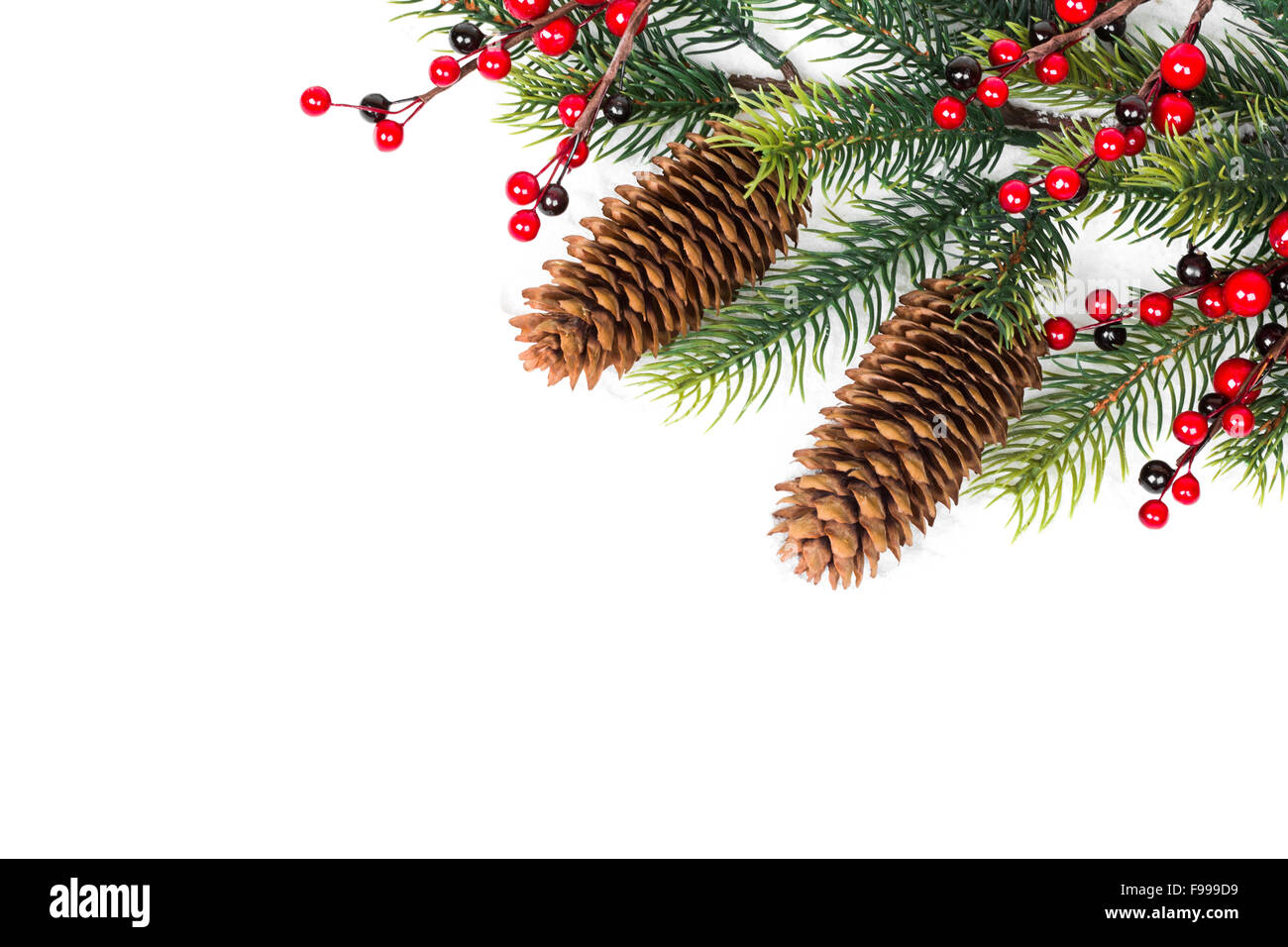 Cone and christmas tree isolated on white Stock Photo - Alamy