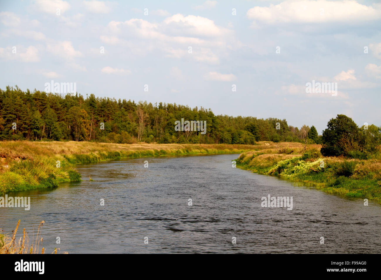 view of the beautiful river and forest Stock Photo - Alamy