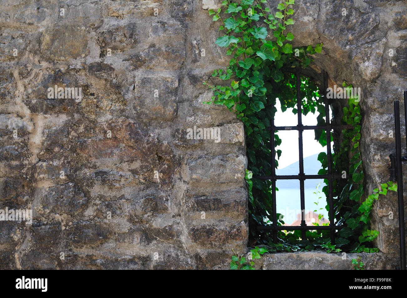 window old plant background with stone wall Stock Photo - Alamy