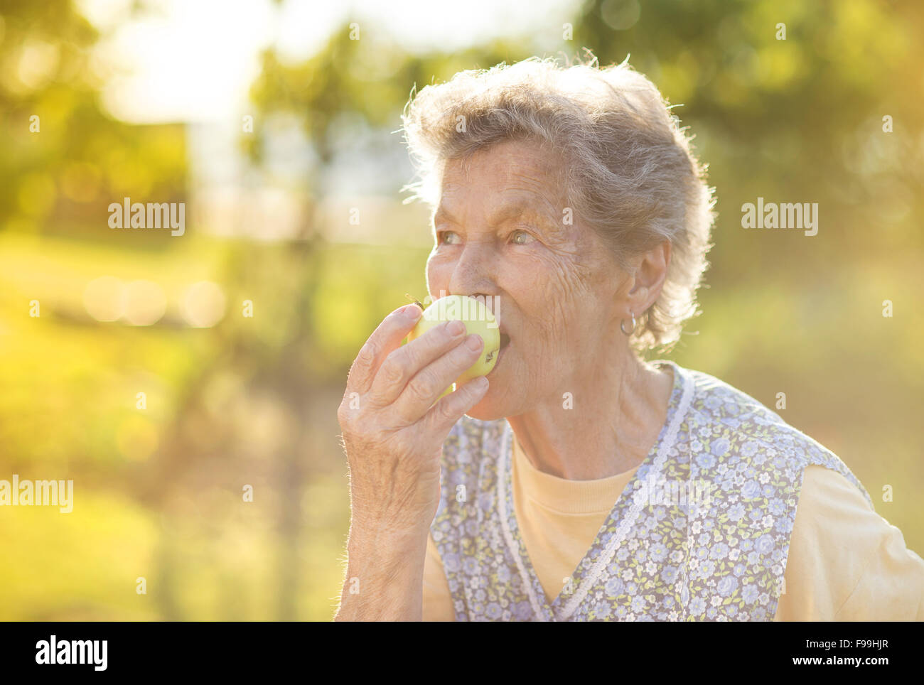 Portrait of senior woman in apron eating apple in the sunny garden Stock Photo