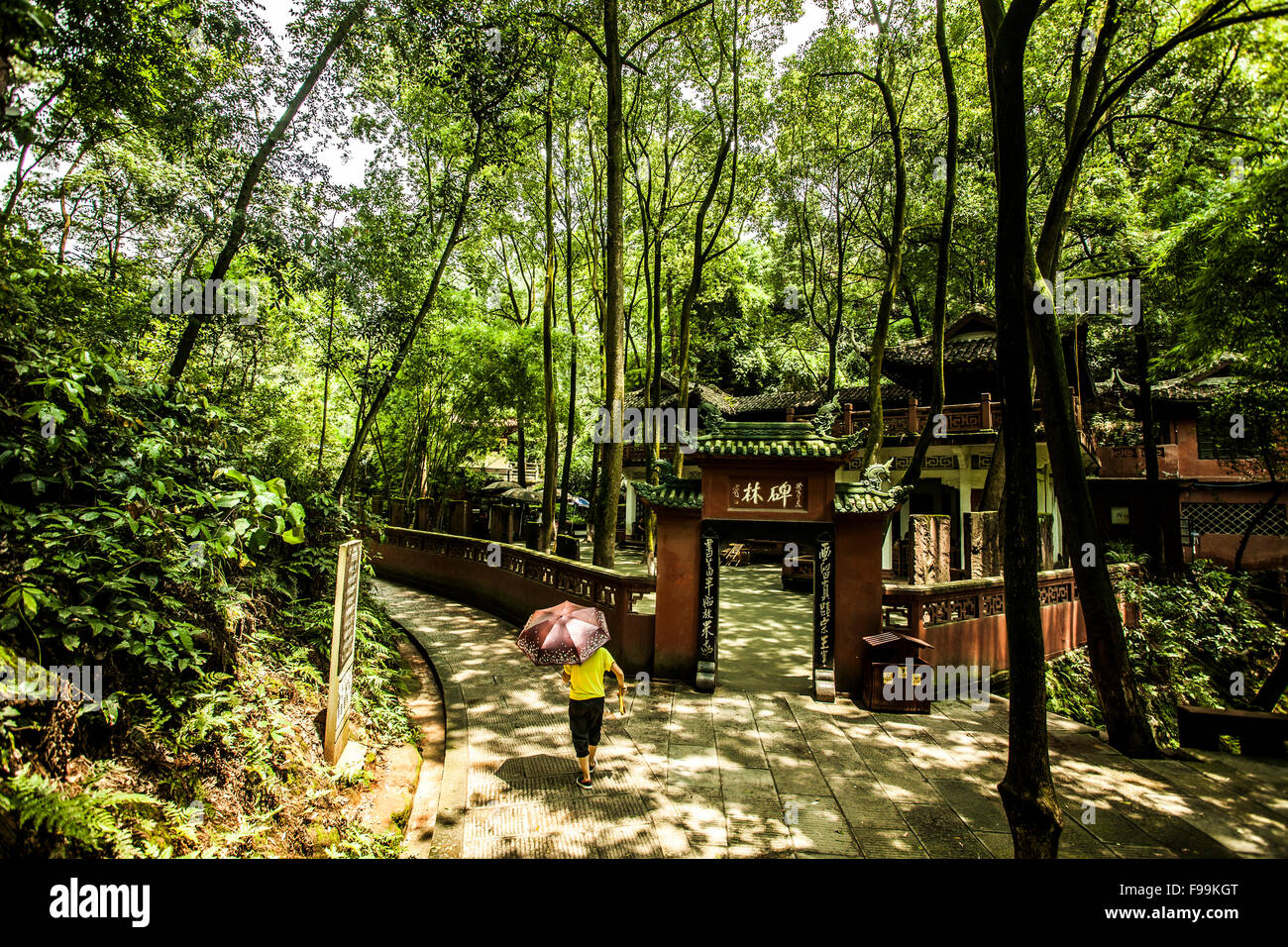 Walking through the forest hi-res stock photography and images - Alamy