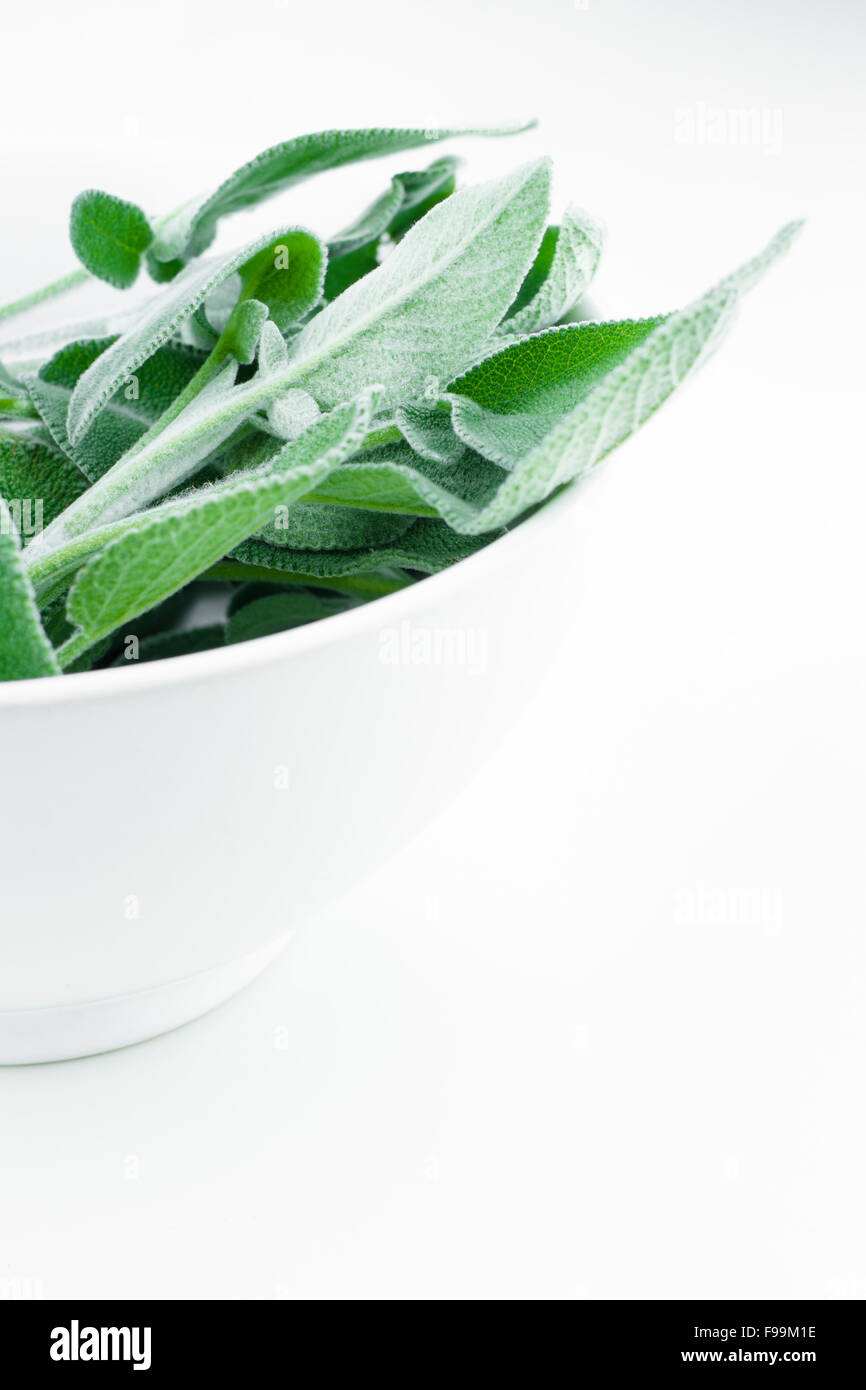 Sage in a bowl Stock Photo