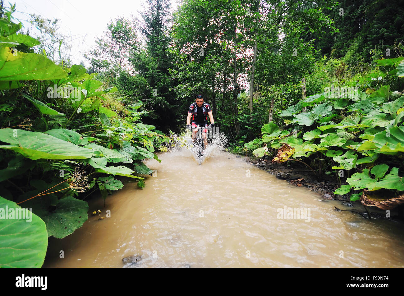 young man drive mountain bike over water river Stock Photo Alamy