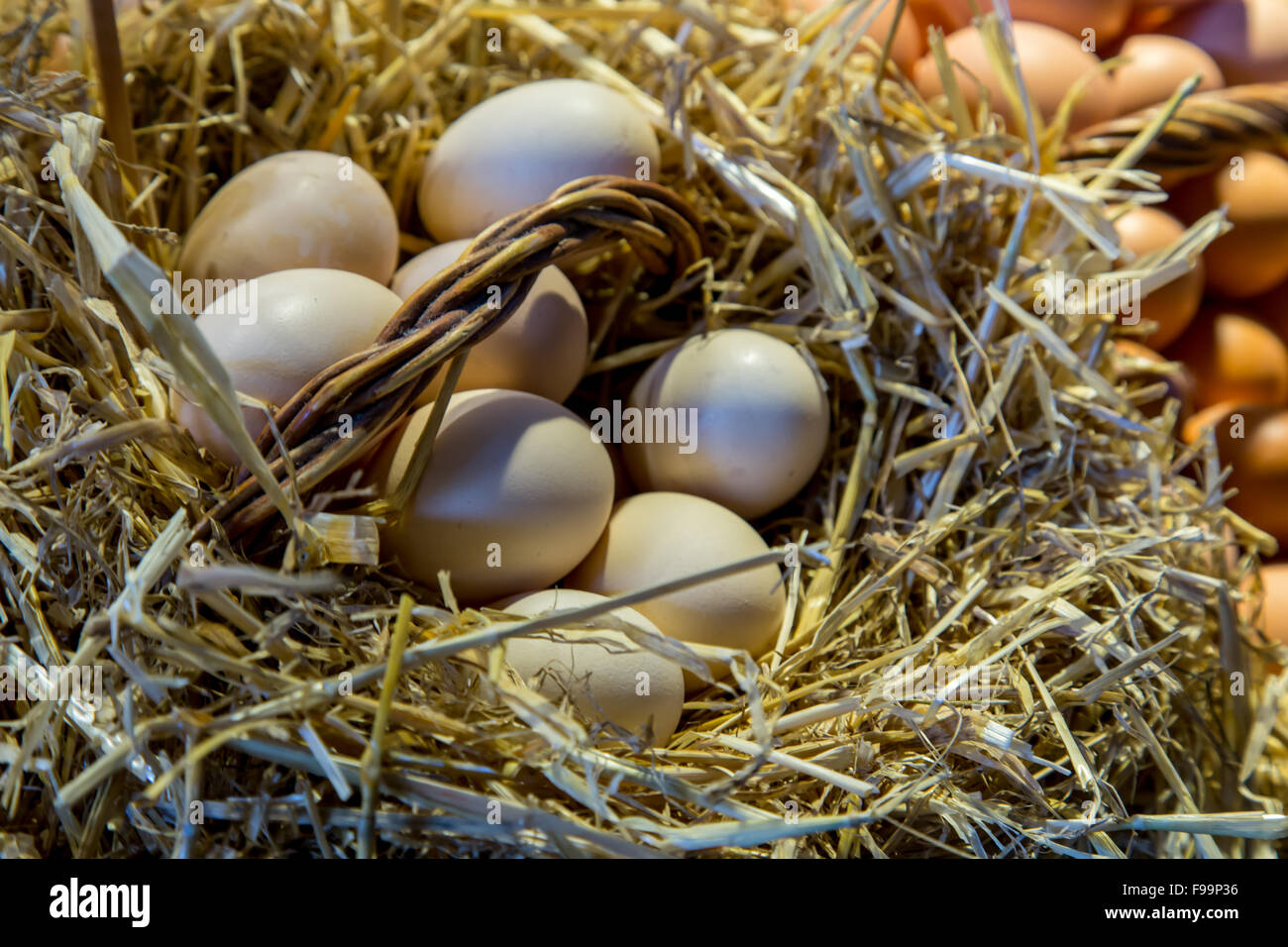 white eggs with straw Stock Photo - Alamy
