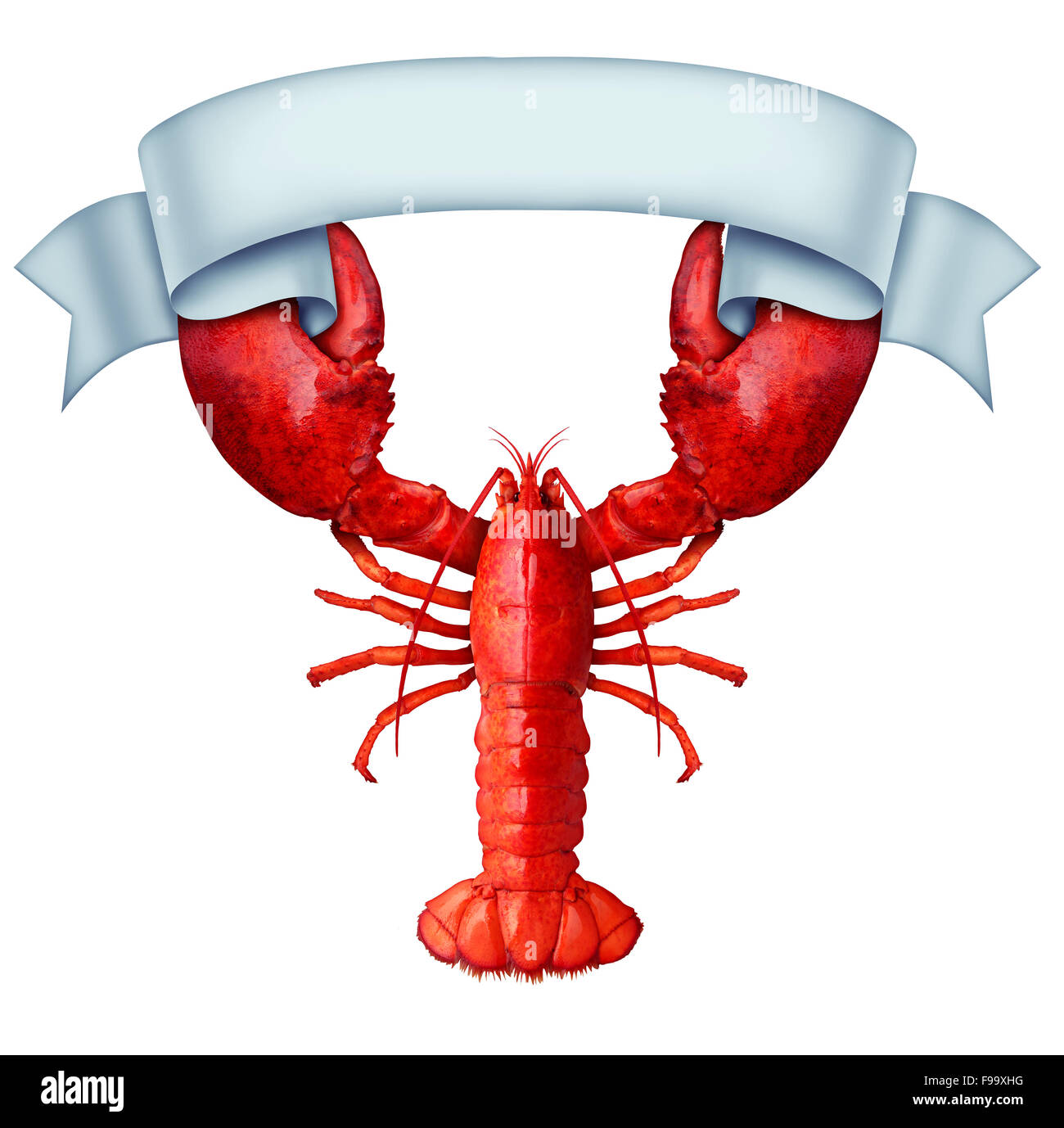 Lobster Banner ribbon with claws holding a blank sign as a fresh seafood message or shellfish food concept with a red shell crustacean isolated on a white background. Stock Photo