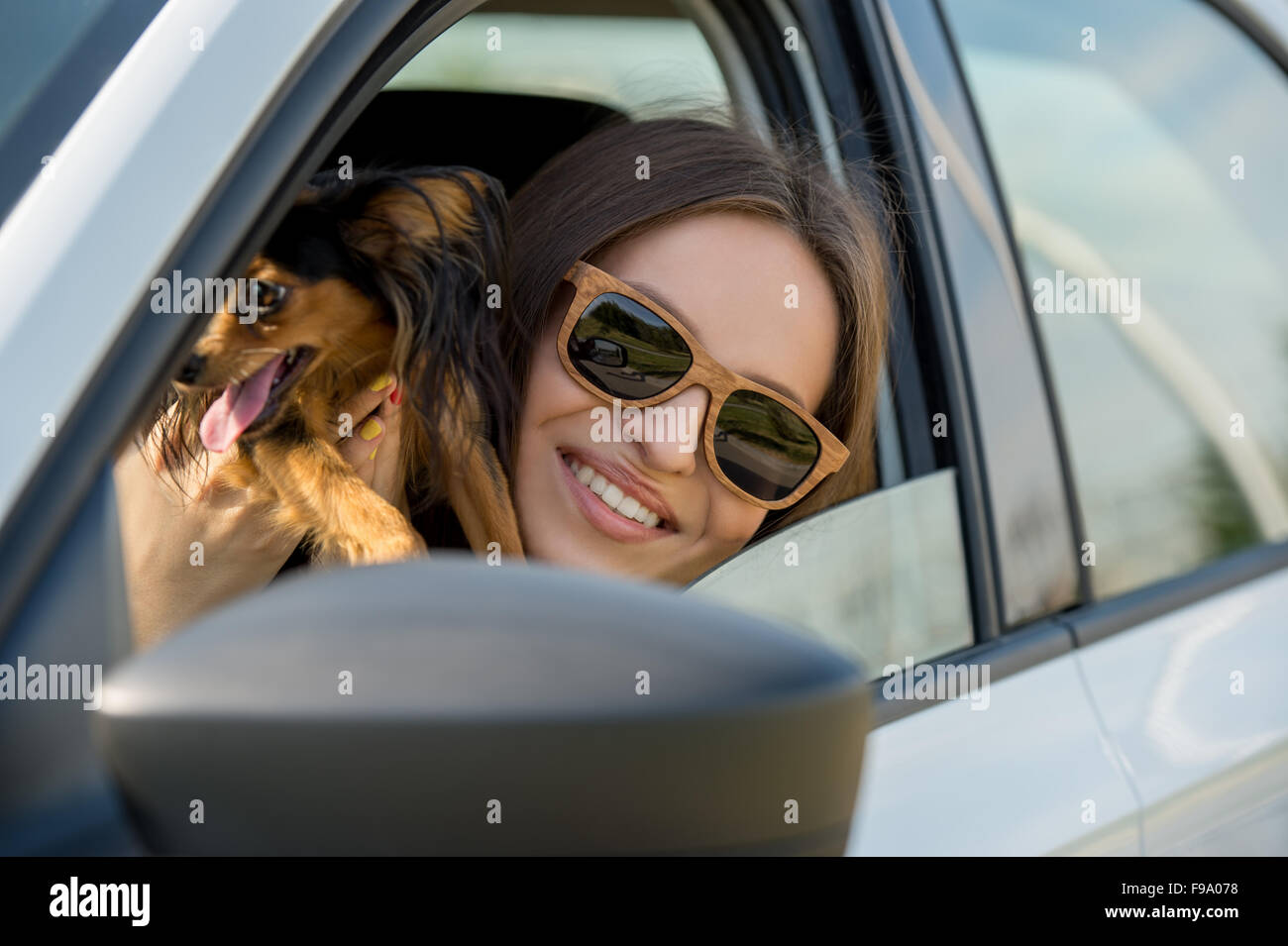 Woman and dog in car on summer travel. Funny dog traveling. Vacation with pet concept. Stock Photo