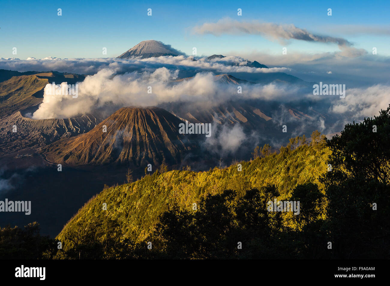 View of Bromo, Batok and Seremu volcanoes, East Java, Indonesia. Stock Photo