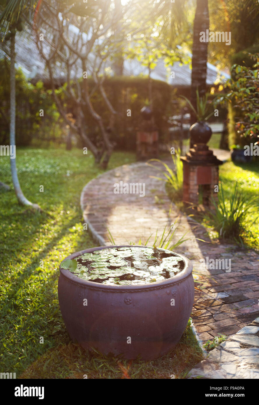 Green sunny hi-res stock photography and images - Alamy