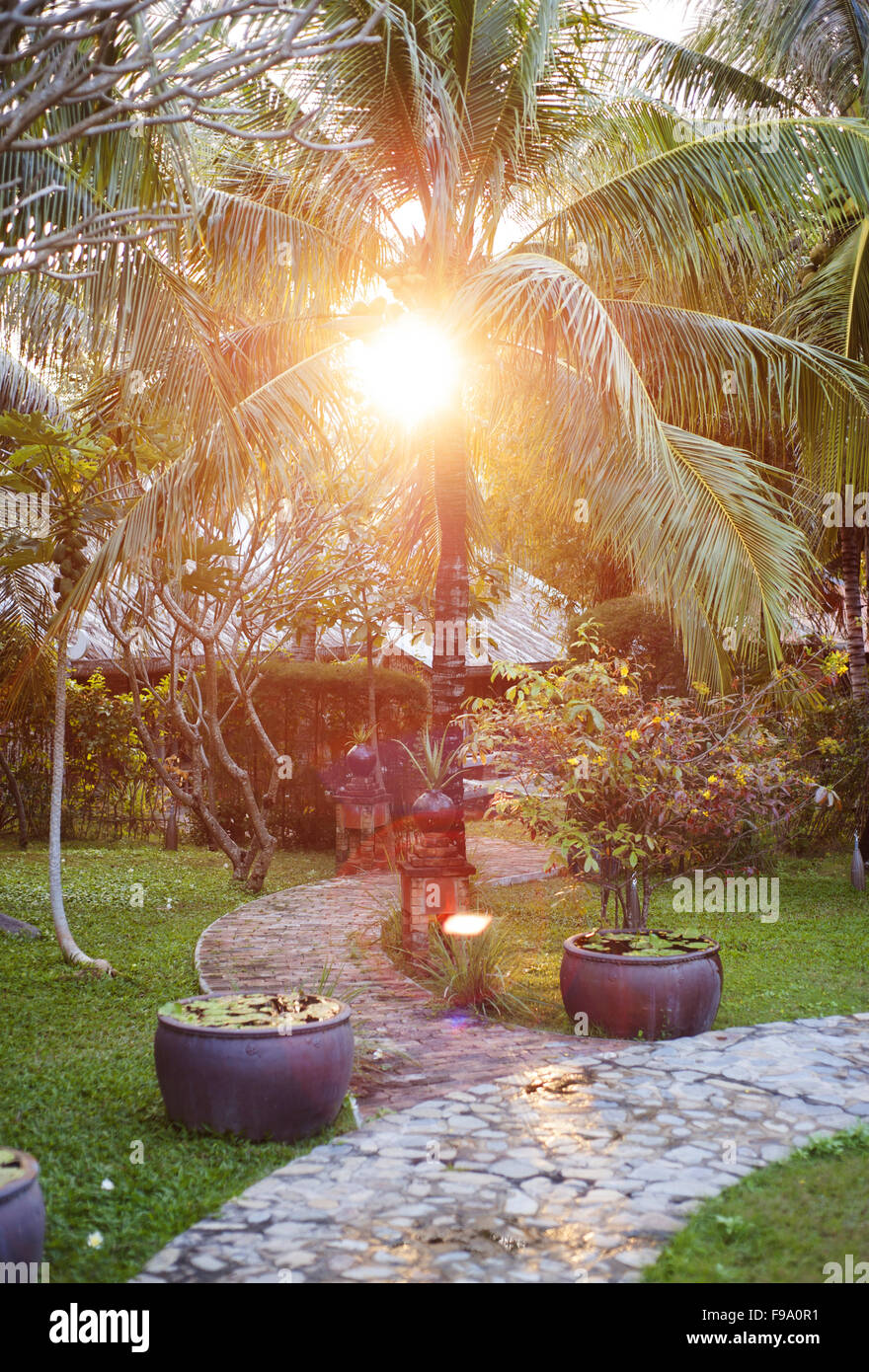 Green sunny hi-res stock photography and images - Alamy