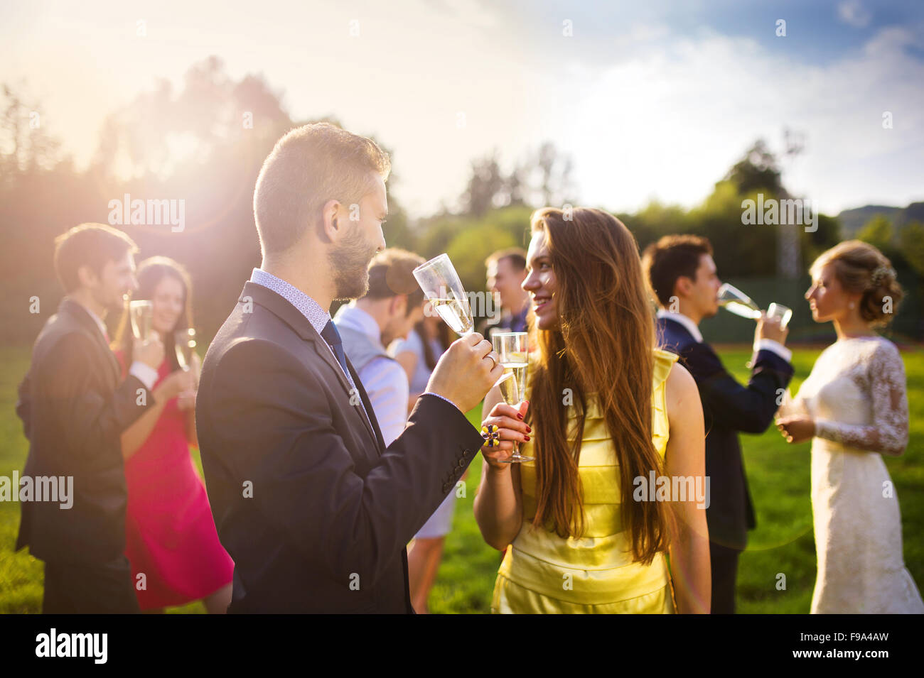 Wedding guests clinking glasses while the newlyweds drinking champagne in the background Stock Photo