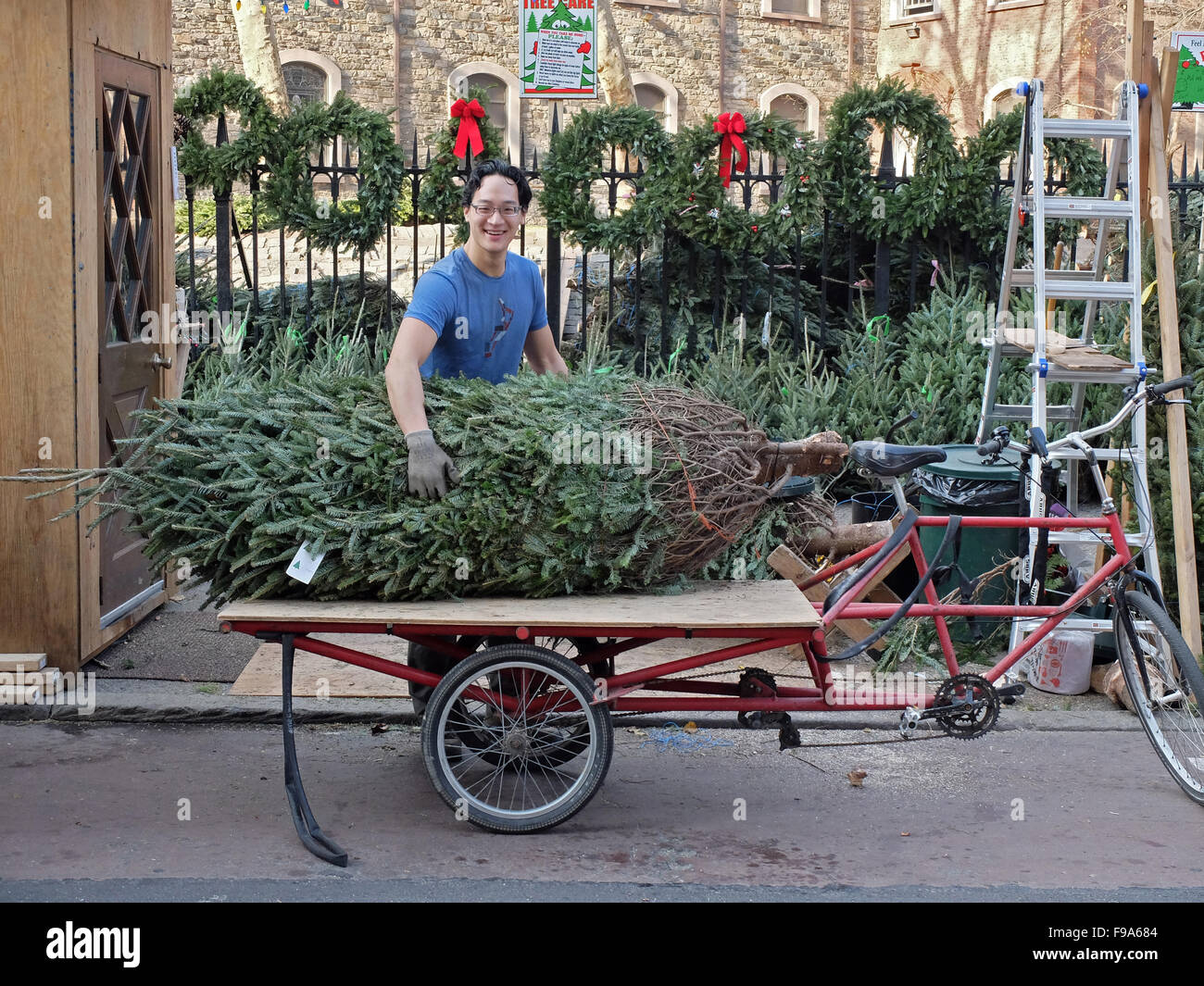 A Christmas tree seller and delivery man at work on Second ave. in the East Village in lower Manhattan, New York City Stock Photo