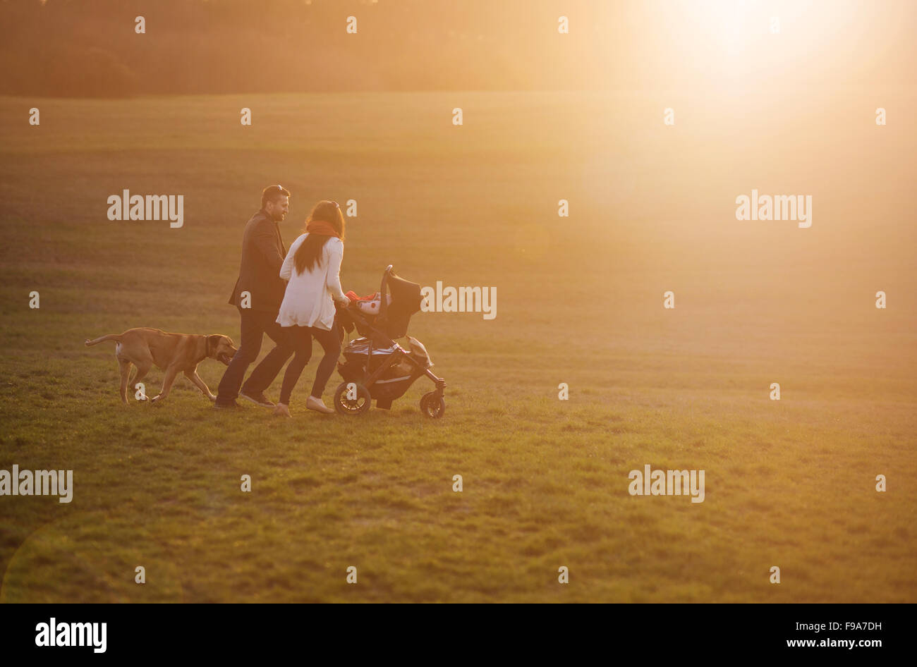 Happy and young family with pram and dog during the walk in nature Stock Photo