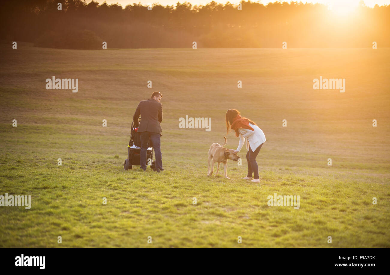 Happy and young family with pram and dog during the walk in nature Stock Photo