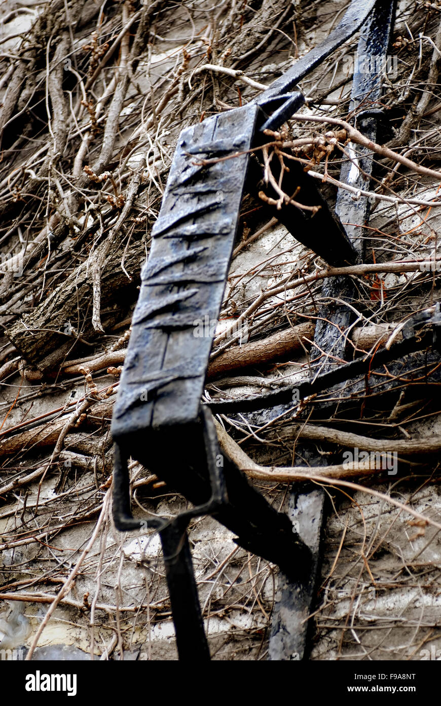 Poacher trap hires stock photography and images Alamy