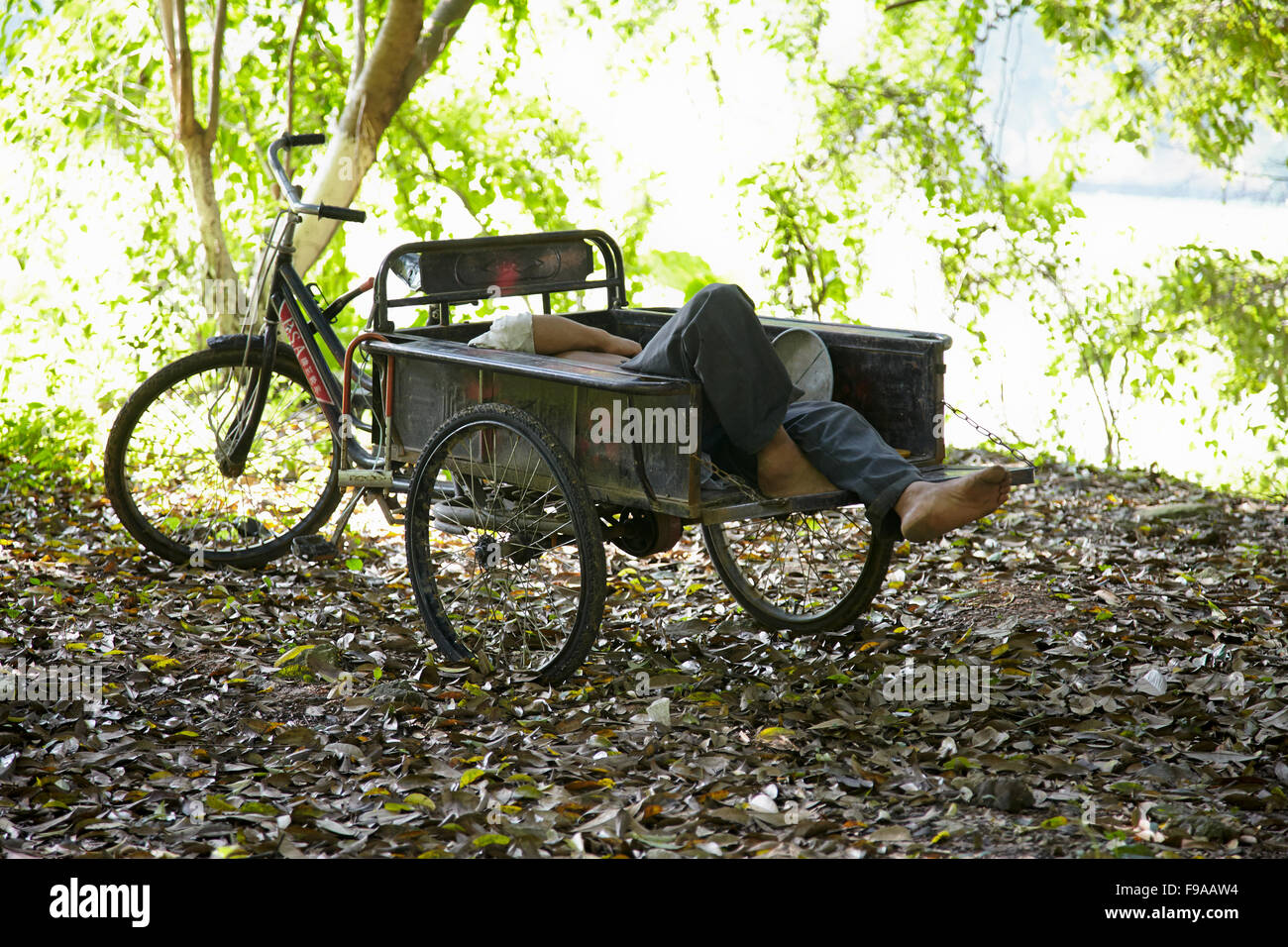 Rickshaw driver sleeping, China Stock Photo