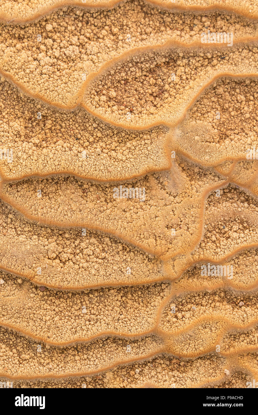 Abstract pattern of minerals leaching from soil, Patagonia, Chile Stock Photo