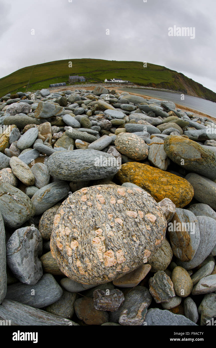 Conglomerate boulder on the beach, Norwick, Unst, Shetlands Stock Photo