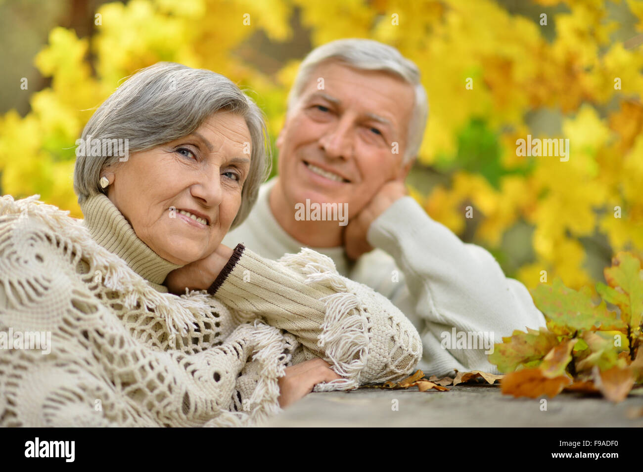 Senior couple in park Stock Photo - Alamy