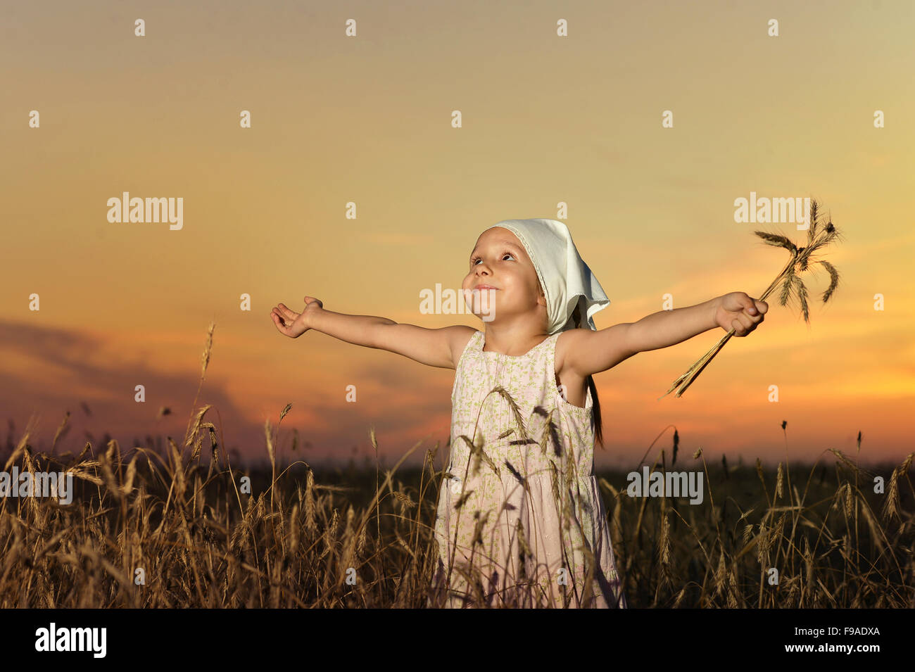 Little girl in wheat field Stock Photo - Alamy