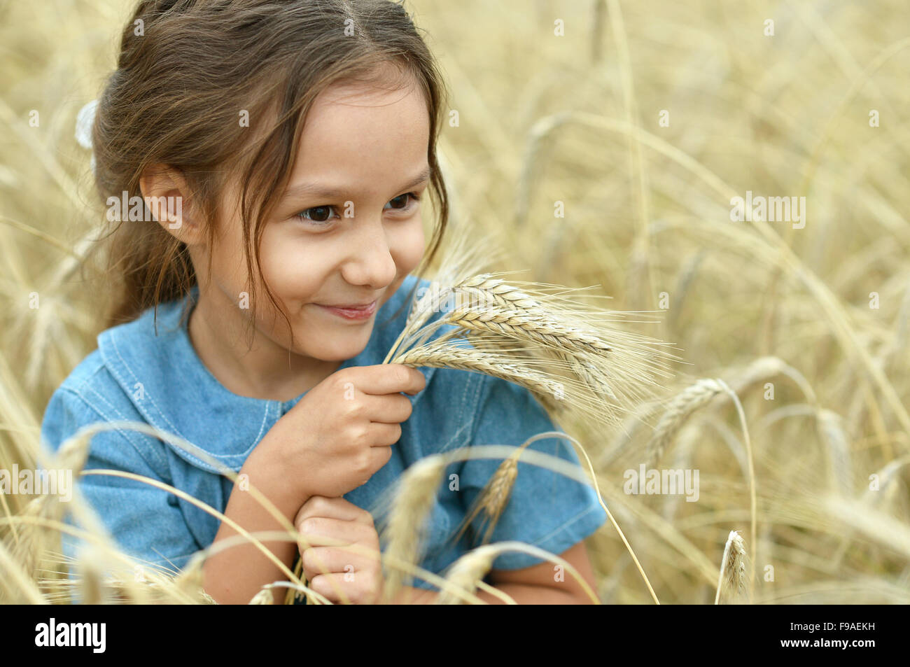 Little girl in wheat field Stock Photo - Alamy
