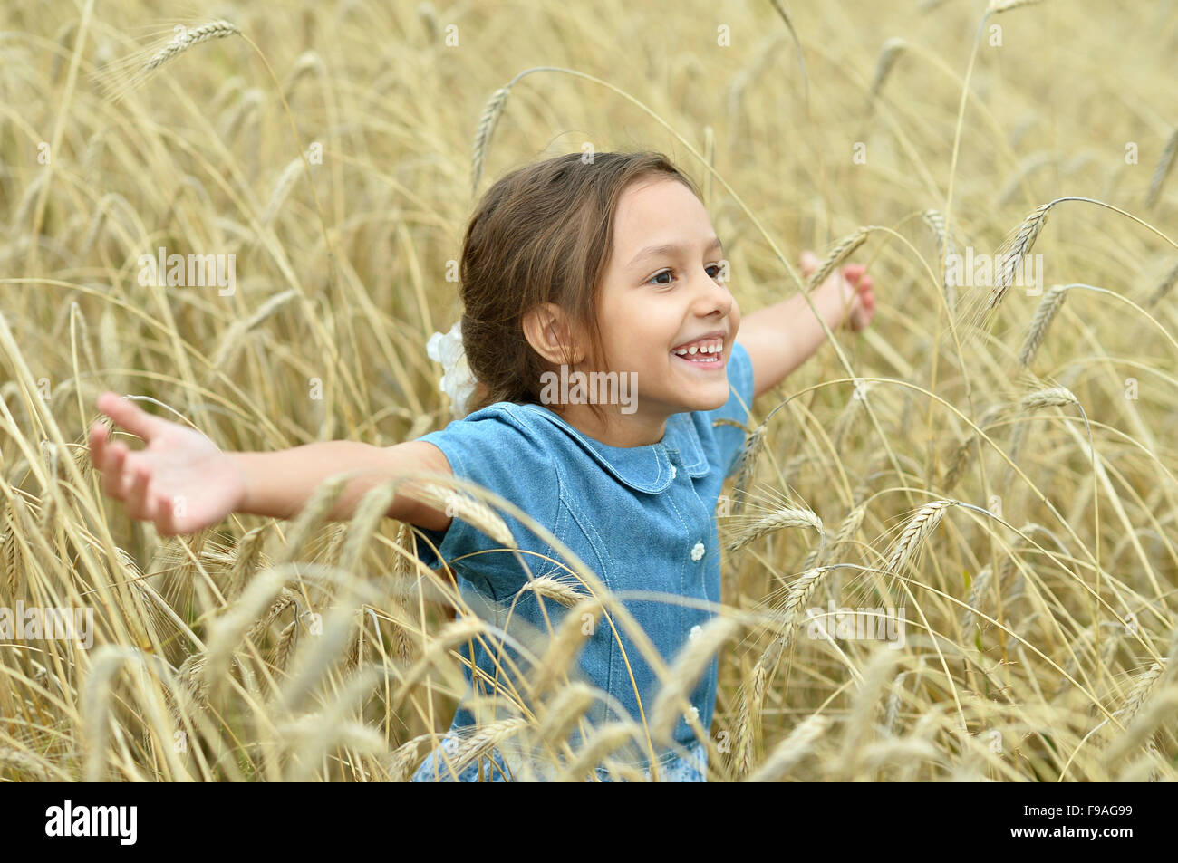 Little girl in wheat field Stock Photo - Alamy