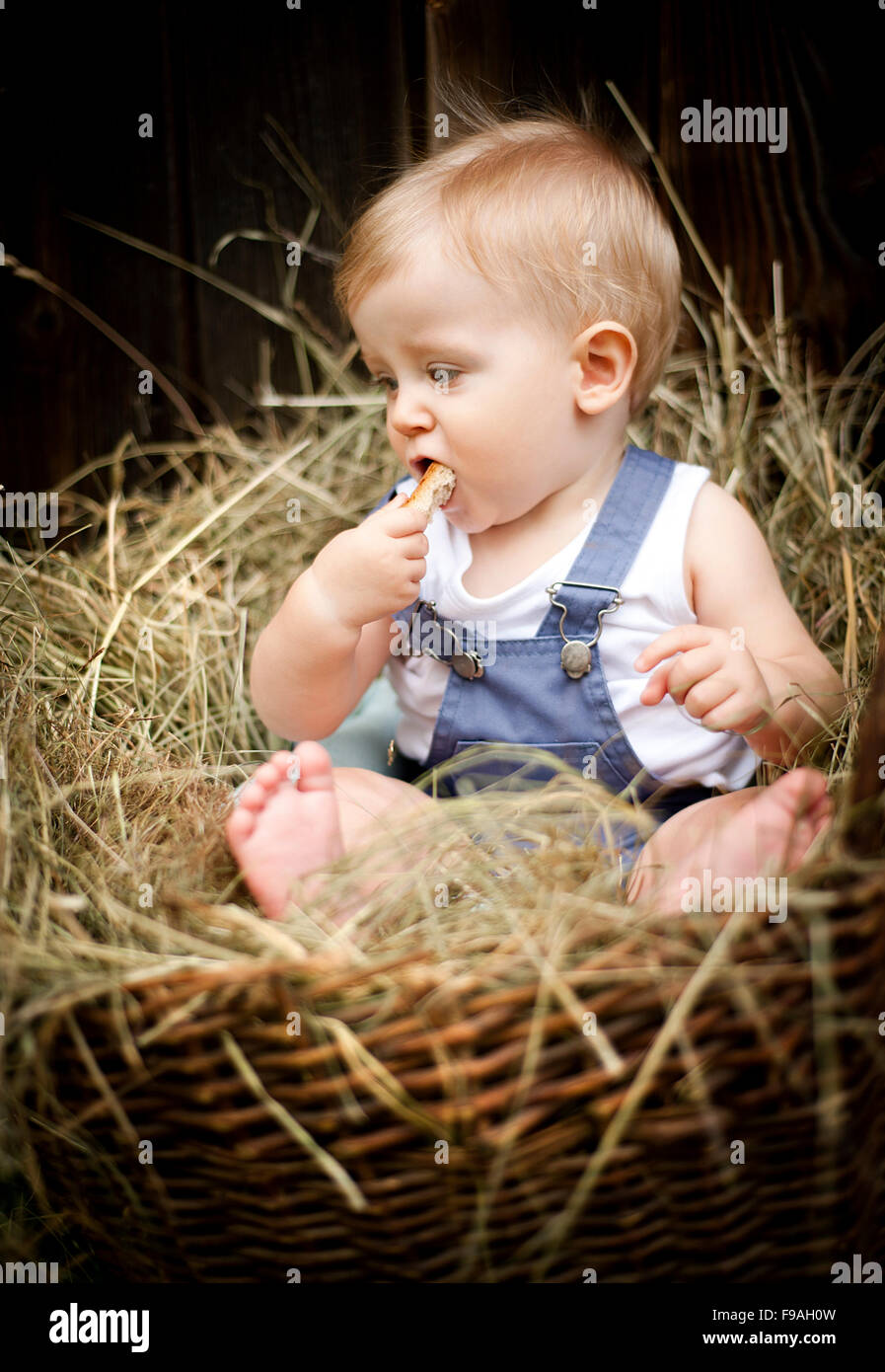 Little boy is siting in the wooden basket Stock Photo