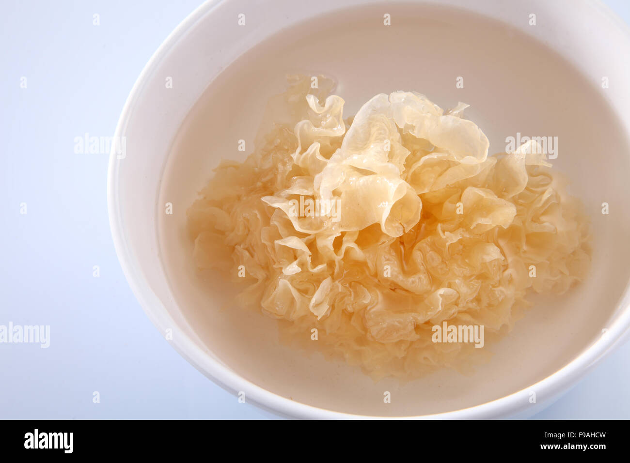 snow jelly fungus chinese traditional medicine for health Stock Photo